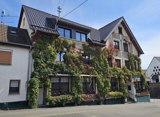 Gewerbeobjekt Schuld - 790.000&euro; | Angebot:25747991