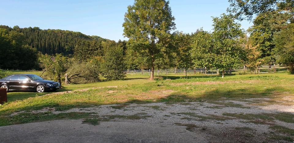 Einfamilienhaus Nettersheim - 15 Zimmer, 370 m&sup2;, 699.000&euro; | Angebot:26942964