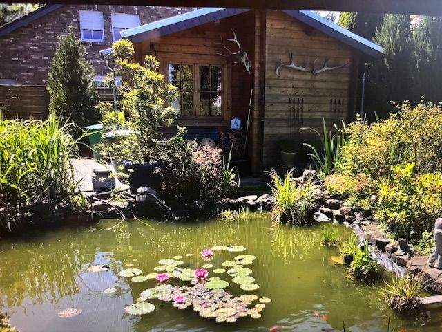 Mehrfamilienhaus, Wohnhaus Nettersheim Marmagen - 1 Zimmer, 340 m&sup2;, 839.000&euro; | Angebot:25729675