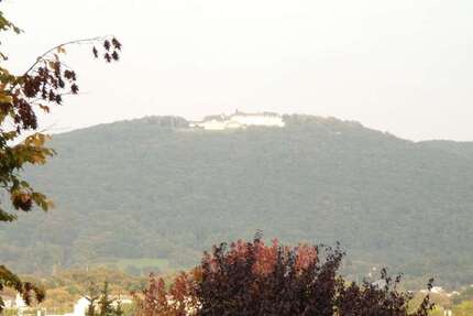 Wohnung Bonn Bad Godesberg - 3 Zimmer, 151 m&sup2;, 2.195&euro; | Angebot:25654648