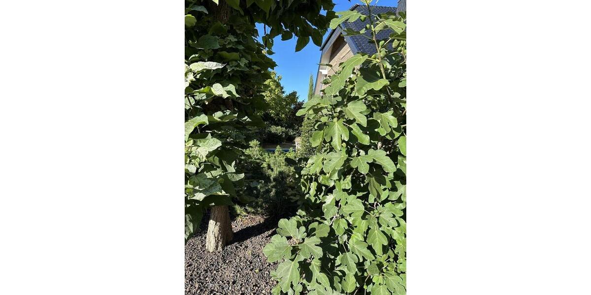 Gewerbeobjekt Euskirchen Dom-Esch - 623&euro; | Angebot:25724741