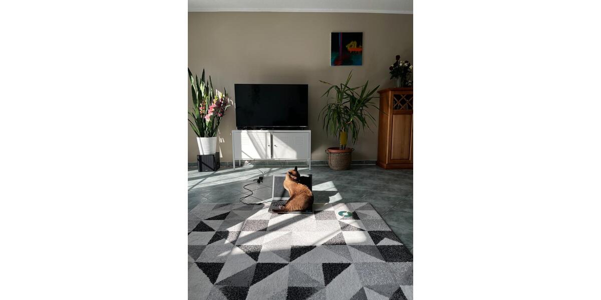 Doppelhaushälfte Kall - 4 Zimmer, 125 m&sup2;, 1.400&euro; | Angebot:25967724