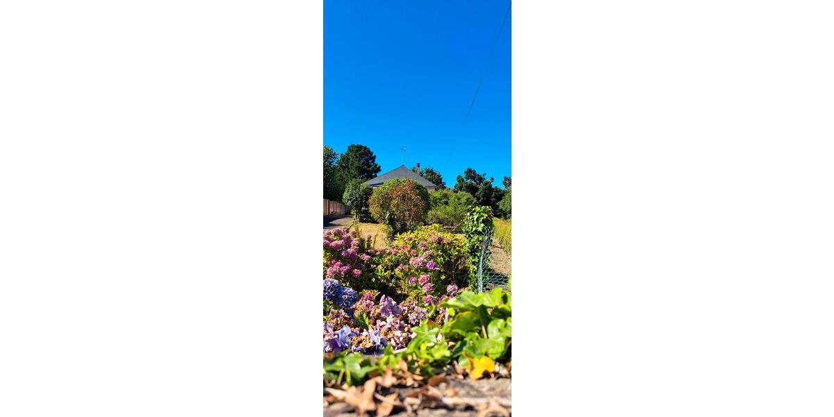 Einfamilienhaus Bonn Bad Godesberg - 175.000&euro; | Angebot:21566817