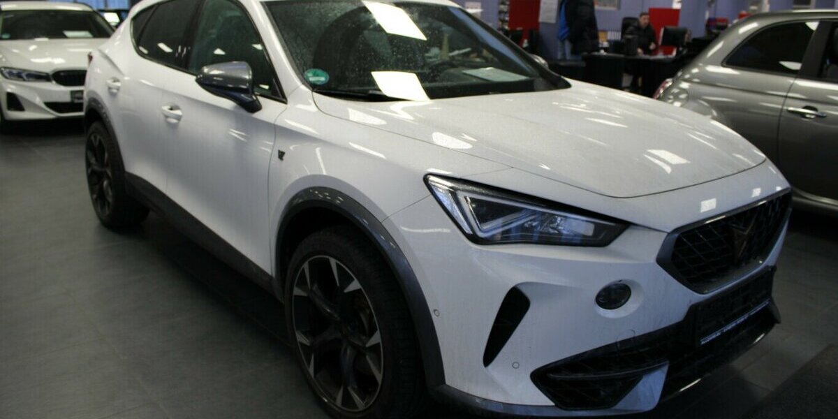 Cupra Formentor VZ 2.0 TSI 4Drive DSG 22.265 km 29.980 &euro; Euskirchen 53881