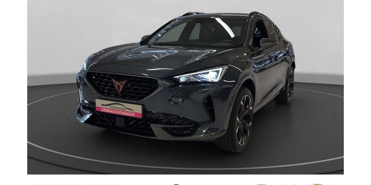 Cupra Formentor 30.246 km 25.980 &euro; Bonn 53119