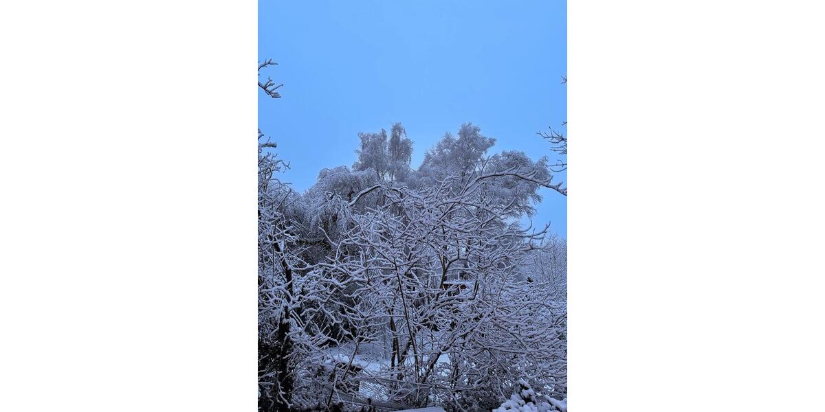 Dachgeschoßwohnung Bad Münstereifel - 2 Zimmer, 55 m&sup2;, 700&euro; | Angebot:25569594