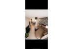 Terrassenwohnung Kerpen Balkhausen - 3 Zimmer, 83 m&sup2;, 197.500&euro; | Angebot:26763378