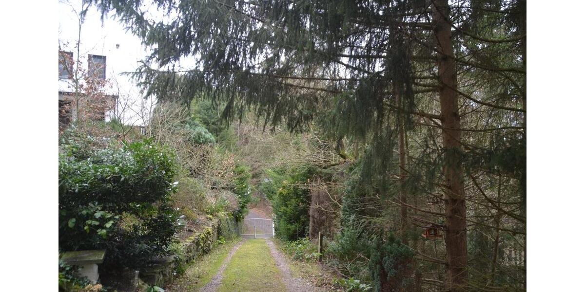 Einfamilienhaus Schuld - 169.000&euro; | Angebot:24295359