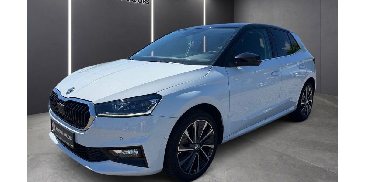 Skoda Fabia 48.550 km 18.990 &euro; Düren 52353
