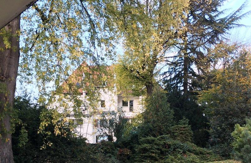 Dachgeschoßwohnung Köln Rodenkirchen - 1 Zimmer, 25 m&sup2;, 600&euro; | Angebot:26048075