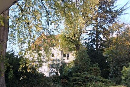 Wohnung Köln Rodenkirchen - 1 Zimmer, 25 m&sup2;, 600&euro; | Angebot:26048075