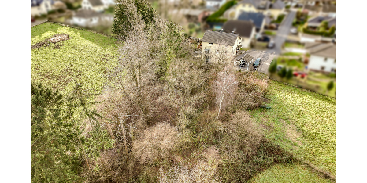 Direkt am Naturschutzgebiet! Modernes Haus mit Einliegerwohnung, Aufzug und vielen Extras! - Einfamilienhaus Königswinter | Angebot:24598297