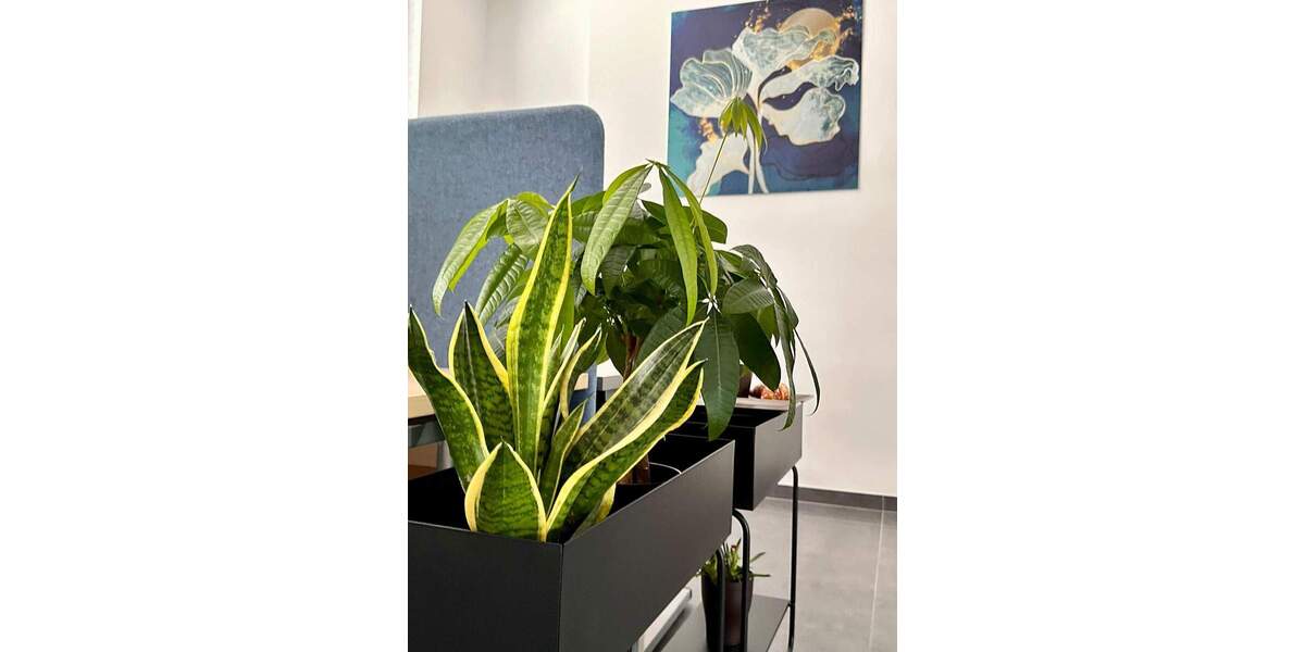 Gewerbeobjekt Brühl - 319&euro; | Angebot:25906322