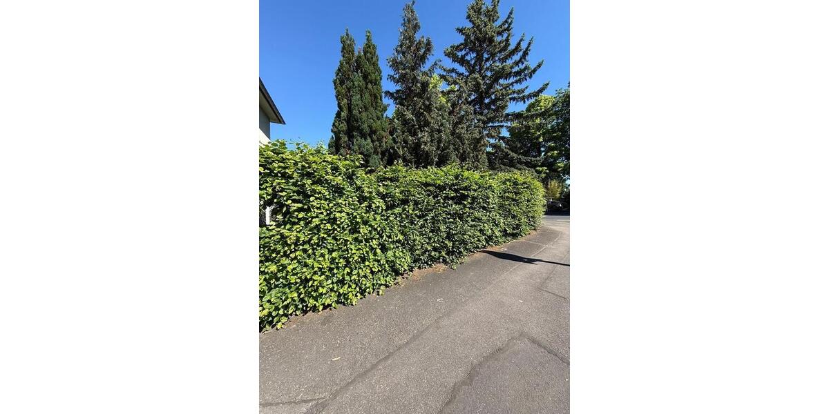 Mehrfamilienhaus, Wohnhaus Bonn Friesdorf - 6 Zimmer, 135 m&sup2;, 469.000&euro; | Angebot:26720824