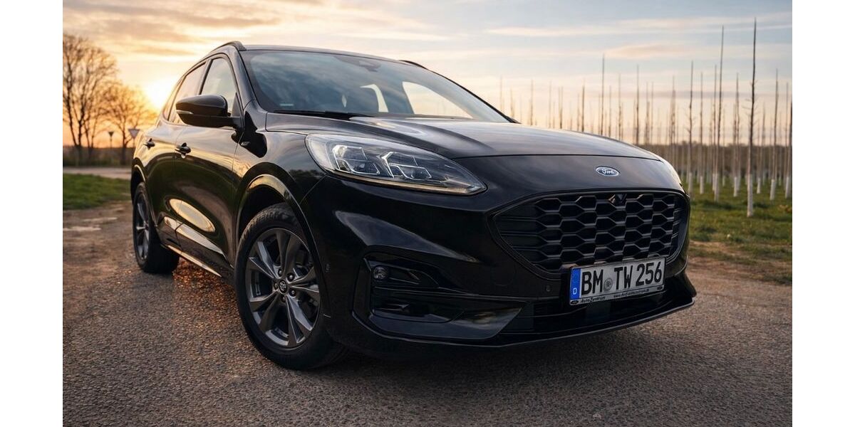Ford Kuga 71.800 km 17.750 &euro; Bad Münstereifel 53902