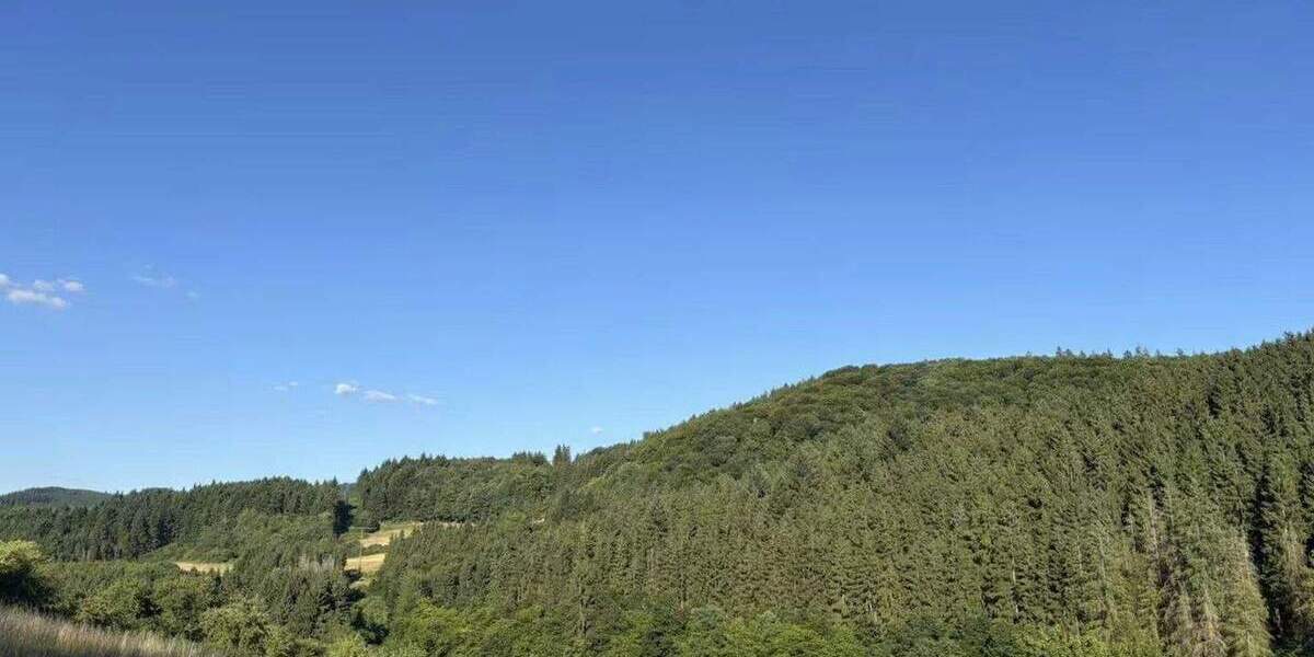 Einfamilienhaus Dümpelfeld-Lückenbach Lückenbach - 6 Zimmer, 171 m&sup2;, 765.000&euro; | Angebot:25782940