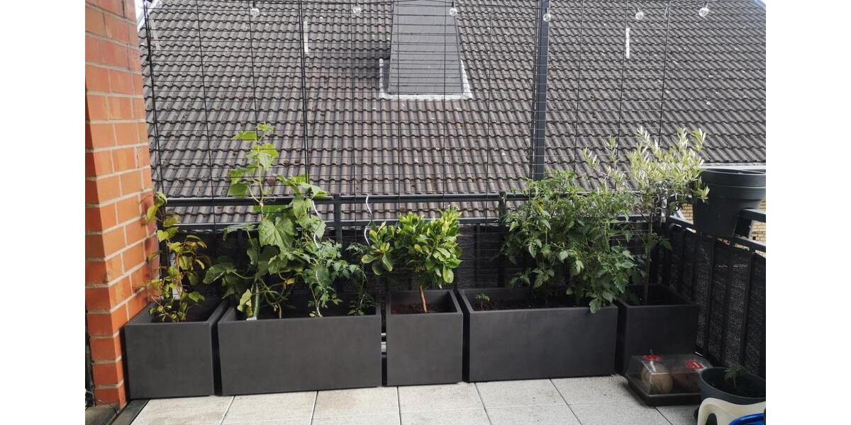 Etagenwohnung Erftstadt - 4 Zimmer, 119 m&sup2;, 399.000&euro; | Angebot:26057466