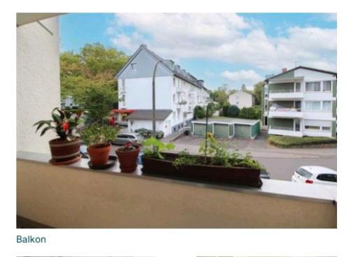 Etagenwohnung Bonn Friesdorf - 3 Zimmer, 55 m&sup2;, 1.163&euro; | Angebot:25963710