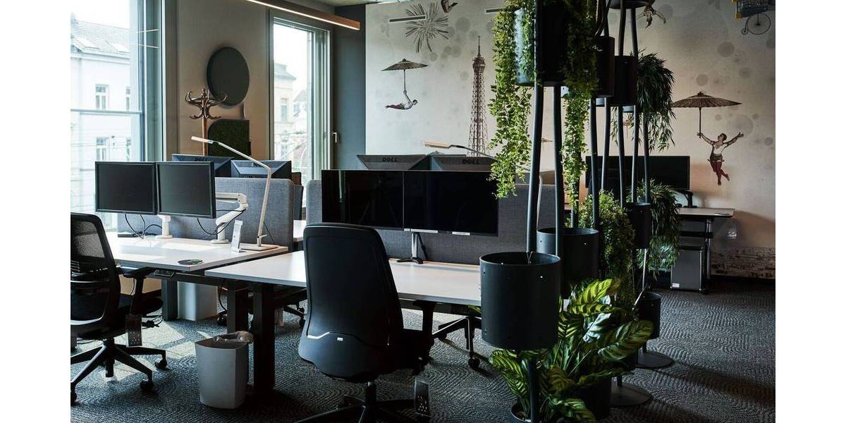 Gewerbeobjekt Bonn Zentrum - 380&euro; | Angebot:25772239