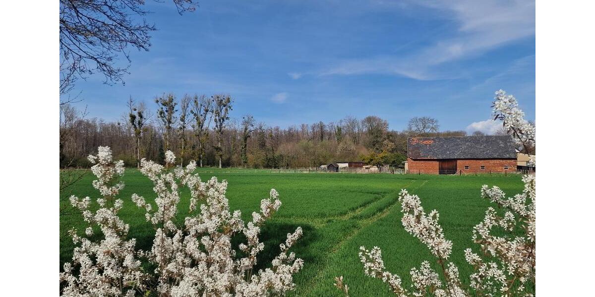 Bauernhaus, Landhaus Vettweiß - 7 Zimmer, 238 m&sup2;, 785.000&euro; | Angebot:26901697
