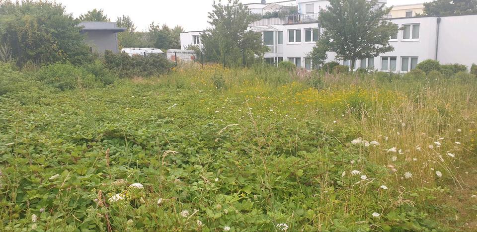 Gewerbeobjekt Bonn Bad Godesberg - 2.500&euro; | Angebot:13342534