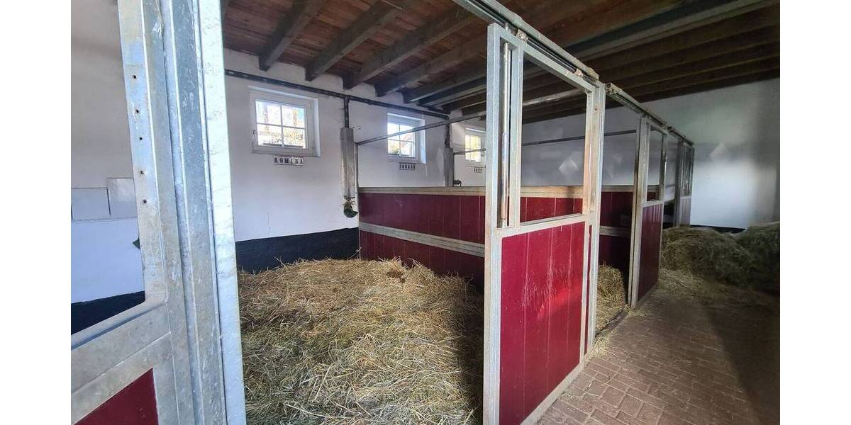 Einfamilienhaus Blankenheim Mülheim - 4 Zimmer, 158 m&sup2;, 485.000&euro; | Angebot:26036781