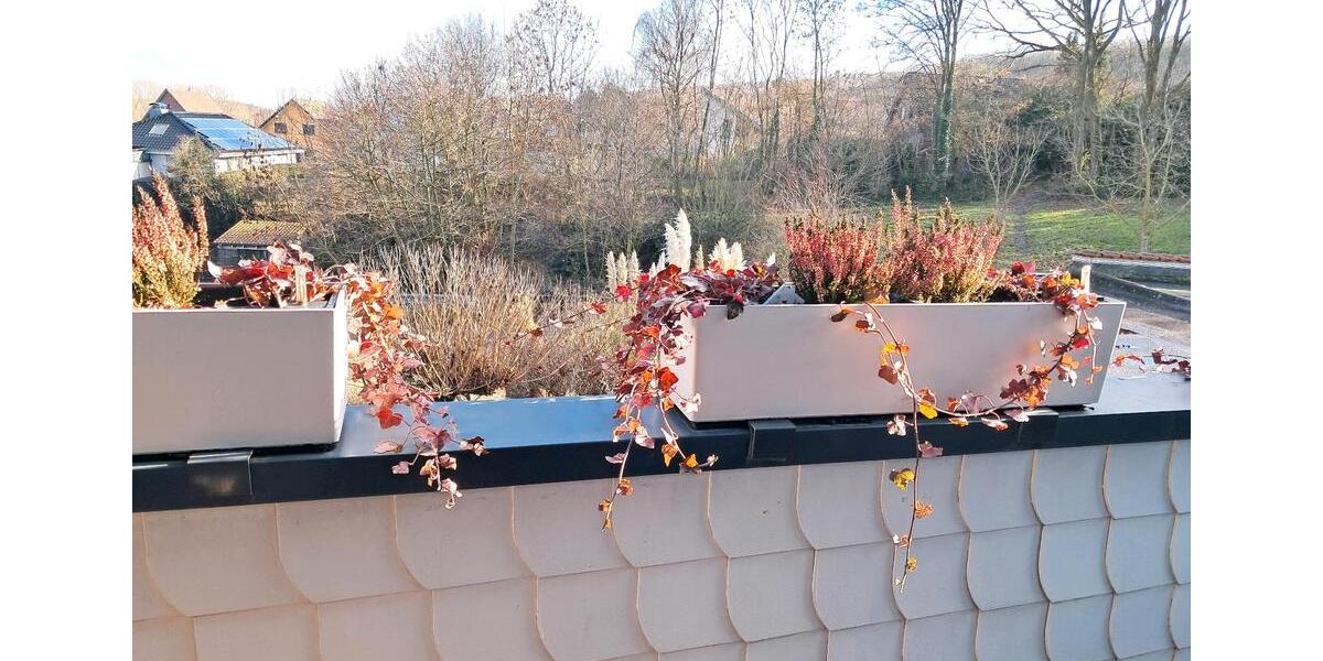 Etagenwohnung Hürtgenwald - 2 Zimmer, 75 m&sup2;, 985&euro; | Angebot:25850353