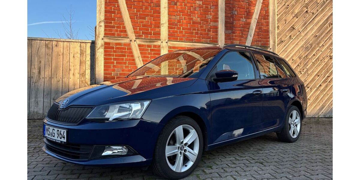 Skoda Fabia 84.000 km 9.299 &euro; Bonn 53173
