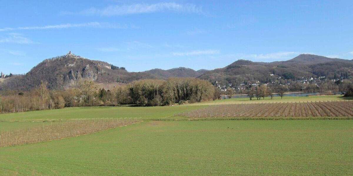 Doppelhaushälfte Bonn Mehlem - 2 Zimmer, 86 m&sup2;, 228.000&euro; | Angebot:25715919