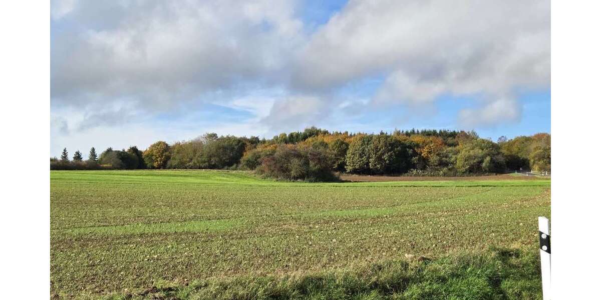 Einfamilienhaus Blankenheim - 7 Zimmer, 200 m&sup2;, 650.000&euro; | Angebot:25247527