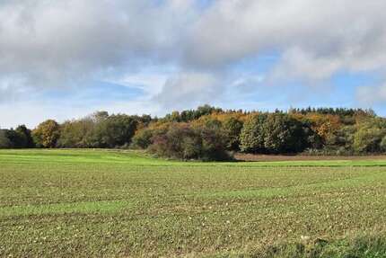 Haus Blankenheim - 7 Zimmer, 200 m&sup2;, 650.000&euro; | Angebot:25247527