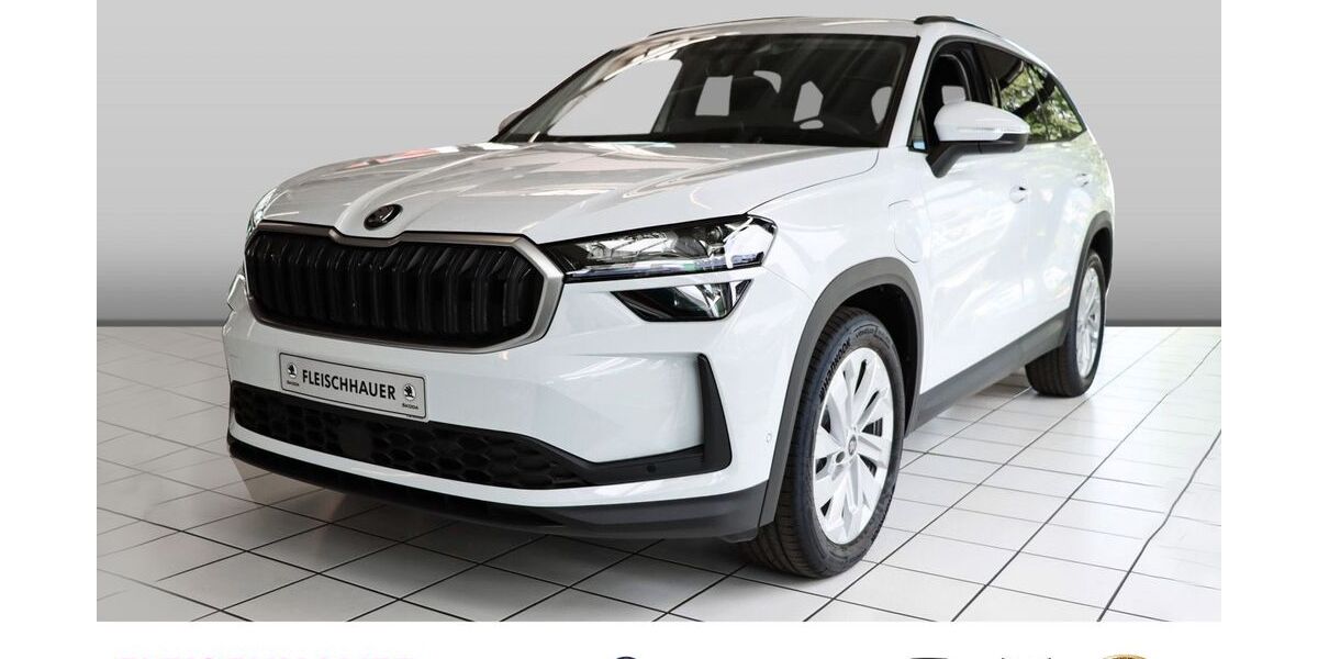 Skoda Kodiaq 14.500 km 44.770 &euro; Bonn 53119