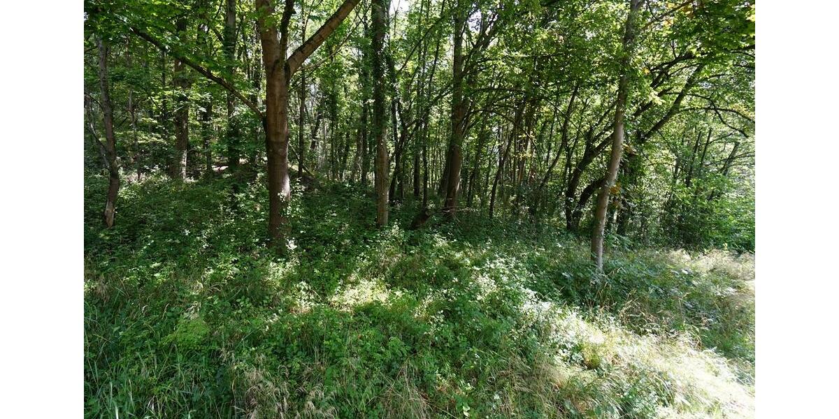 Gewerbeobjekt Bonn Küdinghoven - 600&euro; | Angebot:25976870