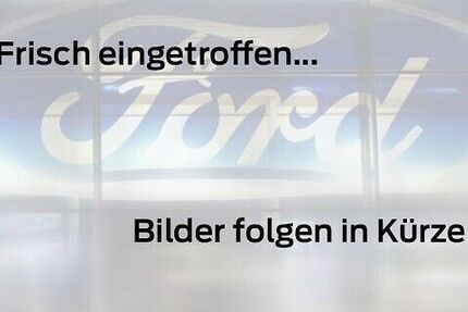 Ford Puma 24.850 km 22.222 &euro; Erftstadt-Lechenich 50374