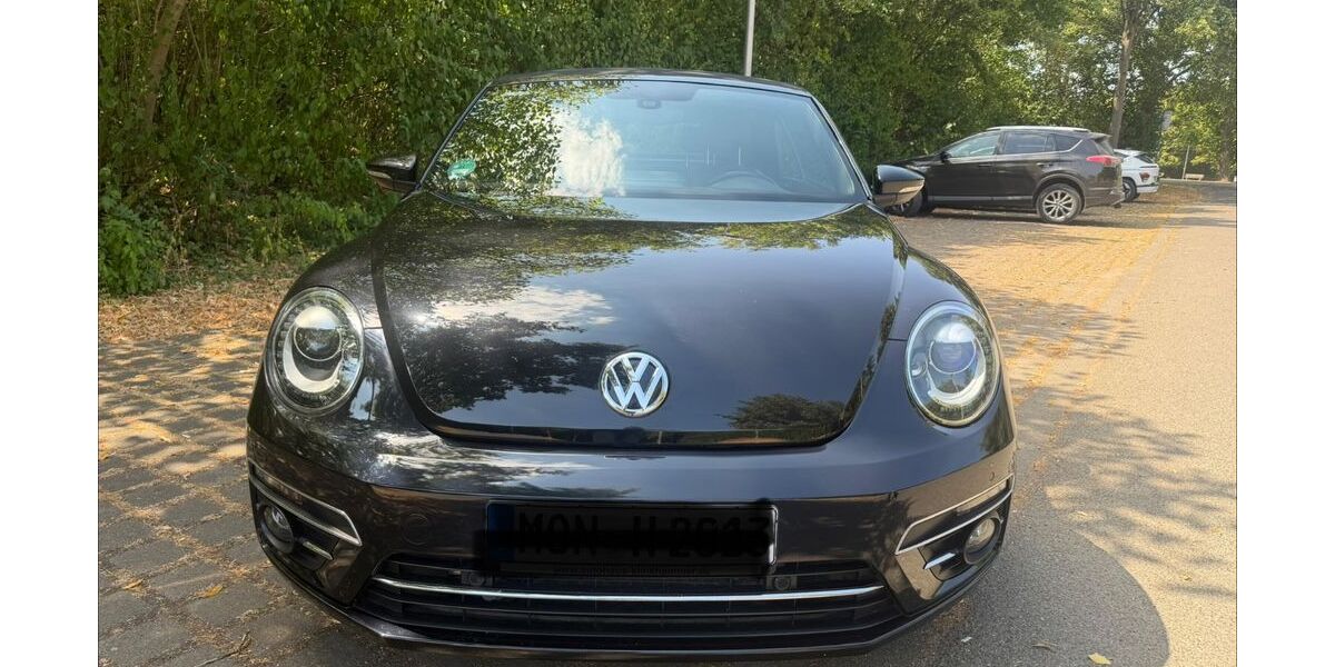 VW Beetle 108.000 km 17.850 &euro; Nideggen 52385