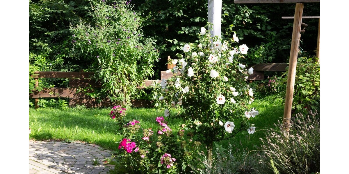 Direkt am Naturschutzgebiet! Modernes Haus mit Einliegerwohnung, Aufzug und vielen Extras! - Einfamilienhaus Königswinter | Angebot:24598297