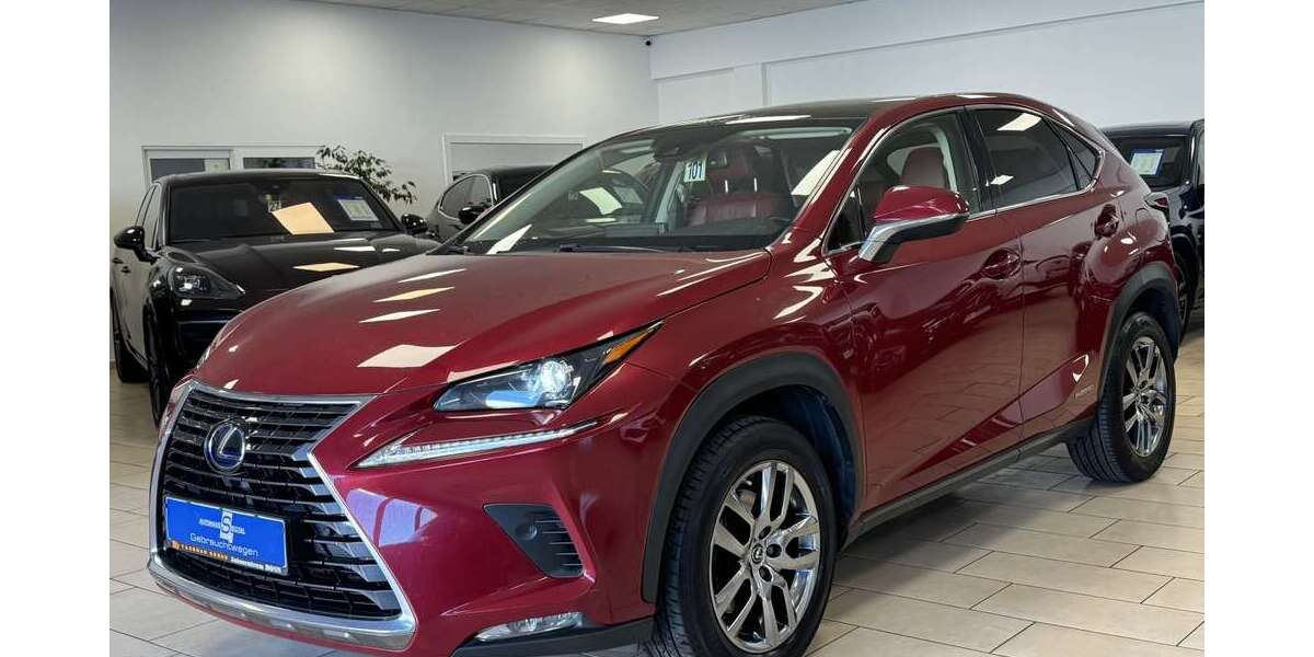 Lexus NX 300 198.498 km 24.500 &euro; Bonn 53227
