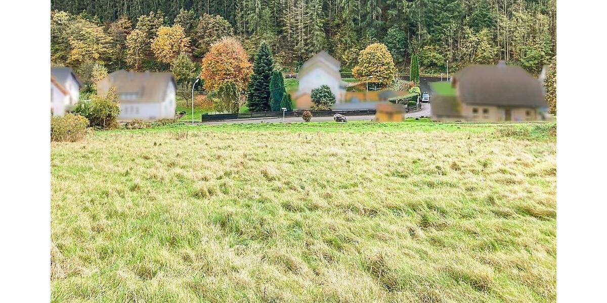 Grundstück Dümpelfeld-Lückenbach Lückenbach - 75.000&euro; | Angebot:25694331