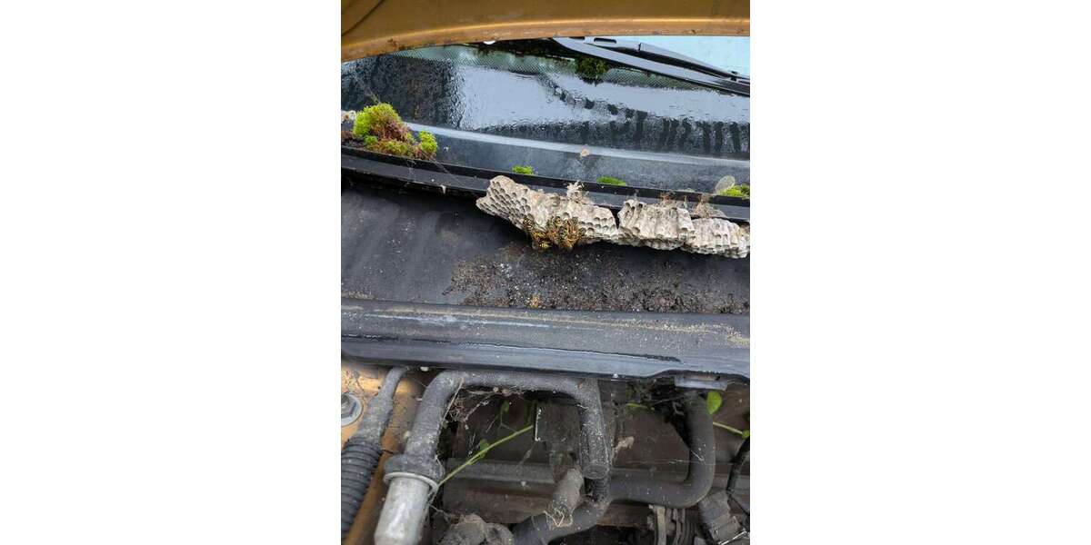 Peugeot 106 10.309 km 200 &euro; Hochkirchen (Nörvenich) 52388