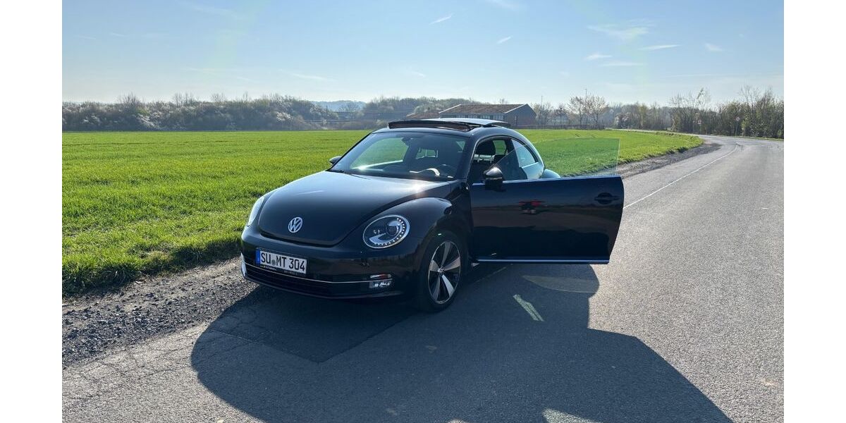 VW Beetle 154.000 km 7.300 &euro; Königswinter 53639