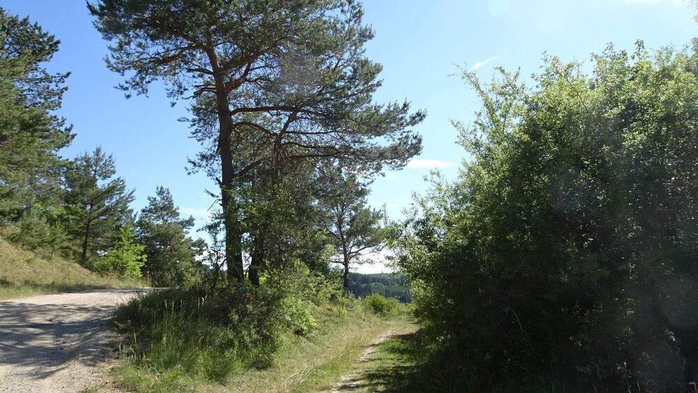 Mehrfamilienhaus, Wohnhaus Blankenheim Ahrdorf - 3 Zimmer, 50 m&sup2;, 129.000&euro; | Angebot:25752849