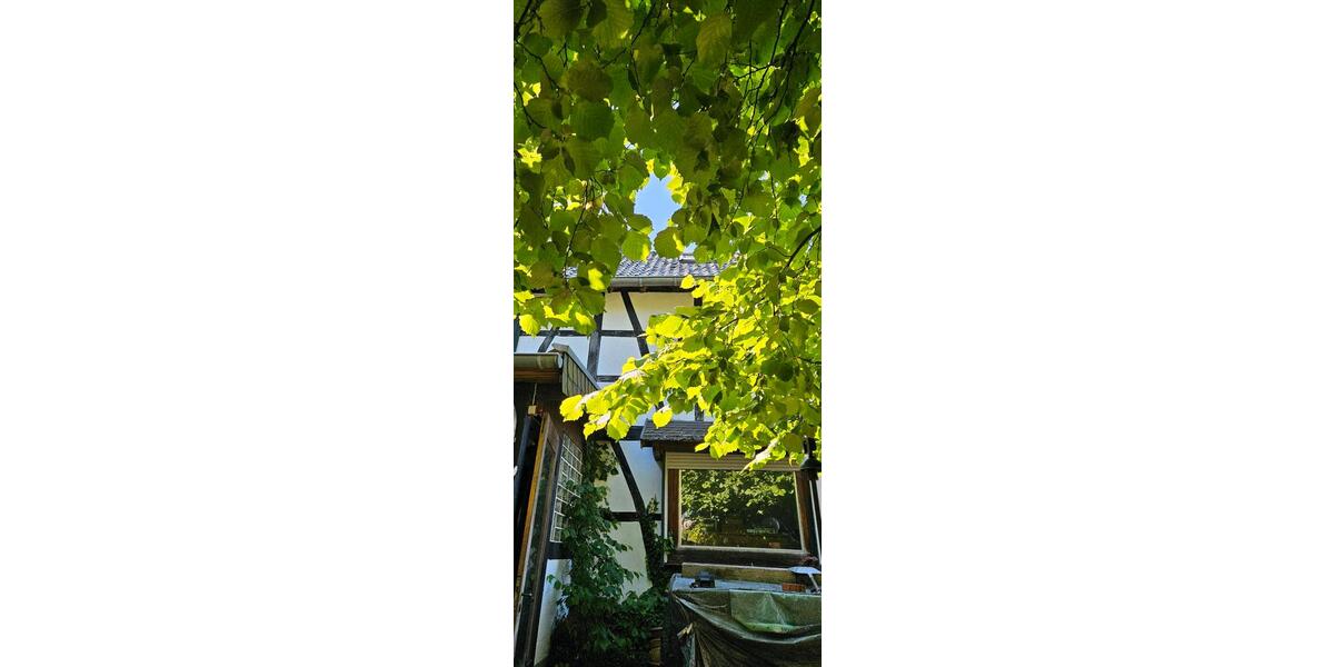 Einfamilienhaus Kall - 6 Zimmer, 140 m&sup2;, 260.000&euro; | Angebot:26021161