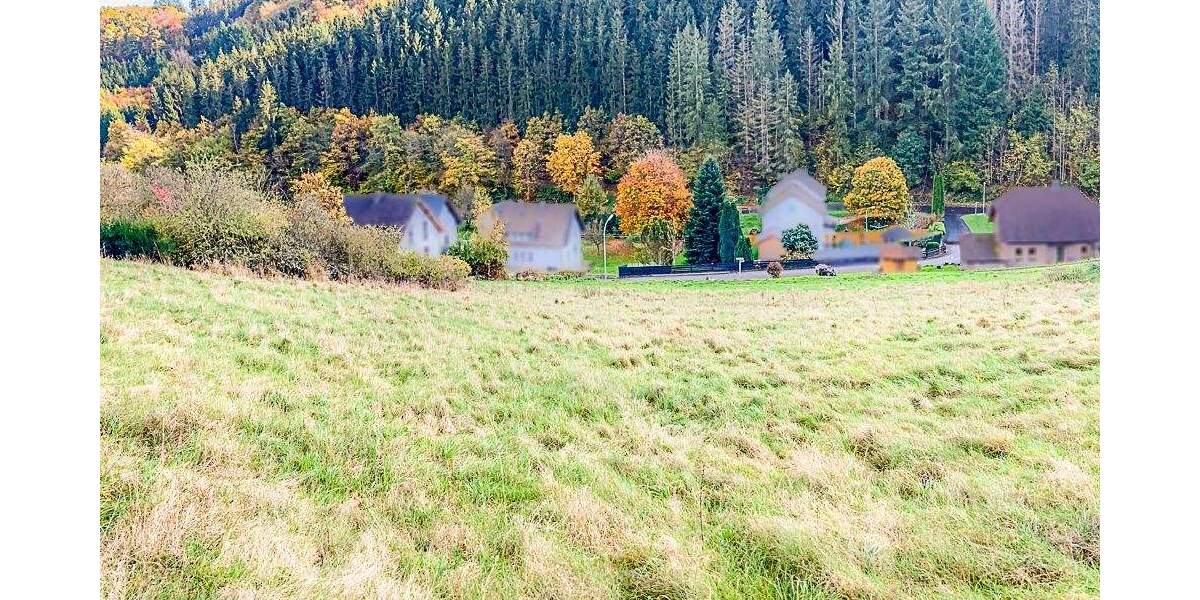 Grundstück Dümpelfeld-Lückenbach Lückenbach - 75.000&euro; | Angebot:25694331