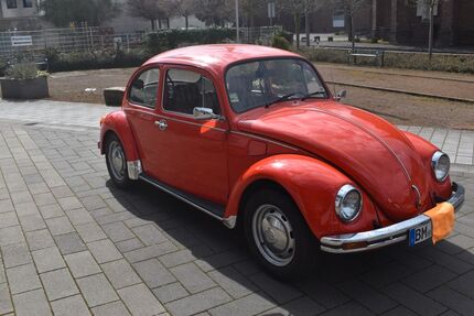 VW Käfer 104.000 km 9.800 &euro; Wesseling 50389