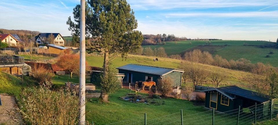 Einfamilienhaus Blankenheim - 5 Zimmer, 140 m&sup2;, 259.000&euro; | Angebot:24306806