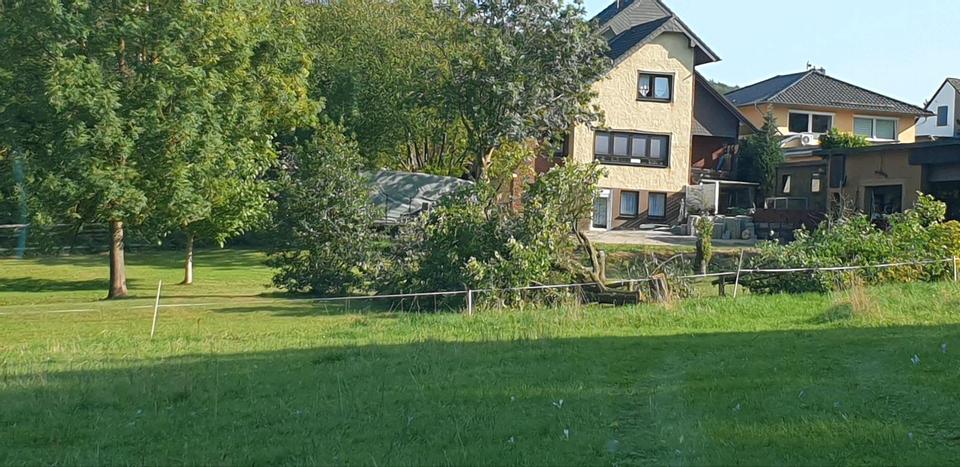 Einfamilienhaus Nettersheim - 15 Zimmer, 370 m&sup2;, 699.000&euro; | Angebot:26942964
