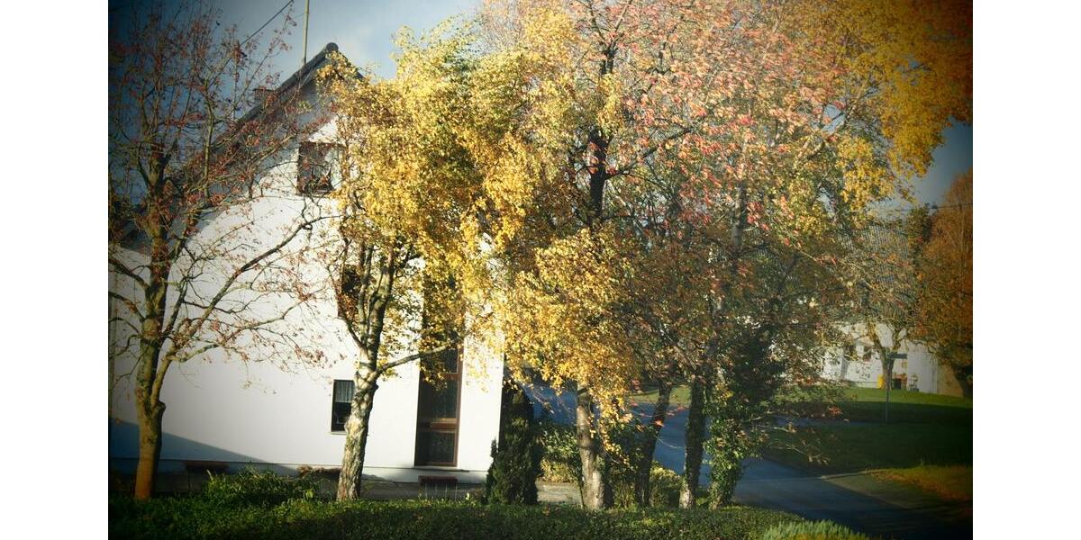 Doppelhaushälfte Schuld - 6 Zimmer, 126 m&sup2;, 1.150&euro; | Angebot:26016005