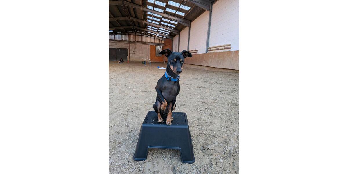 Gewerbeobjekt Swisttal - 40&euro; | Angebot:26128095