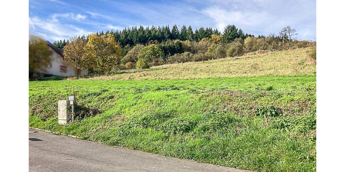 Grundstück Dümpelfeld-Lückenbach Lückenbach - 75.000&euro; | Angebot:25694331