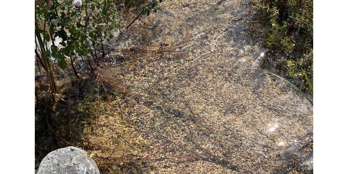 Bungalow Hönningen - 3 Zimmer, 50 m&sup2;, 52.900&euro; | Angebot:24841084